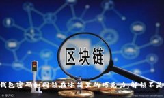 当冷钱包密码如同锁在冰