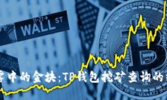 寻找迷雾中的金块：TP钱包