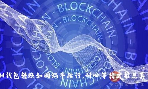 IM钱包转账如同蜗牛爬行，耐心等待才能见真相