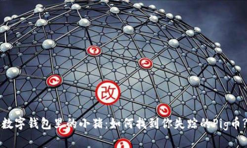 “数字钱包里的小猪：如何找到你失踪的Pig币?”