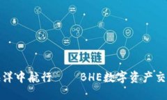 在数字资产的海洋中航行