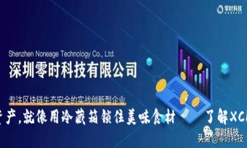 “保护你的数字资产，就像用冷藏箱锁住美味食材——了解XCH冷钱包的秘密！”