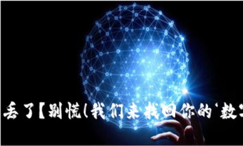 “冷钱包丢了？别慌！我们来找回你的‘数字宝藏’”