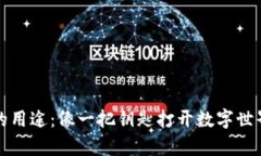 波场币的用途：像一把钥