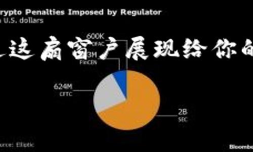 如何申请t p钱包中的DApp：像开一扇通往新世界的窗户

在数字货币的世界里，钱包就像是你通往这个新世界的窗户，而DApp（去中心化应用）则是通过这扇窗户展现给你的各种精彩内容。今天，我们要带你探索的是如何在t p钱包中申请DApp，开启你的区块链之旅。

在t p钱包申请DApp就像打开一扇通向新奇世界的窗户