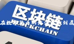 波场钱包 vs T P 钱包：数字