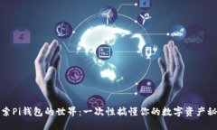 探索Pi钱包的世界：一次性