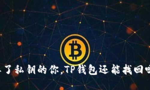 丢了私钥的你，TP钱包还能找回吗？