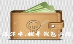 在数字支付的海洋中，探