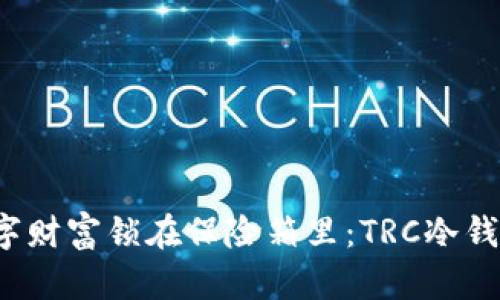  把你的数字财富锁在保险箱里：TRC冷钱包下载指南