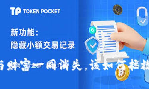 当你的TP钱包与财富一同消失，该如何拯救你的数字资产？