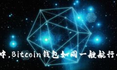 在数字金融的海洋中，Bitcoin钱包如同一艘航行的