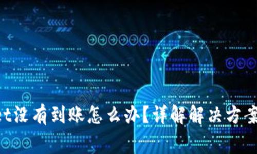 TokenPocket没有到账怎么办？详解解决方案与注意事项