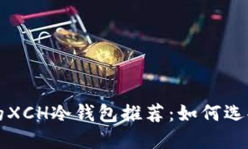 最安全的XCH冷钱包推荐：如何选择和使用
