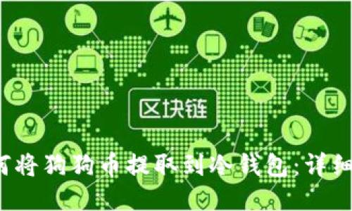  如何将狗狗币提取到冷钱包：详细指南