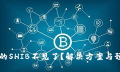 转到冷钱包的SHIB不见了？解决方案与预防措施详