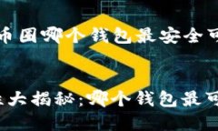 创建一个针对“币圈哪个钱包最安全可靠”的和