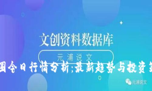币圈今日行情分析：最新趋势与投资策略