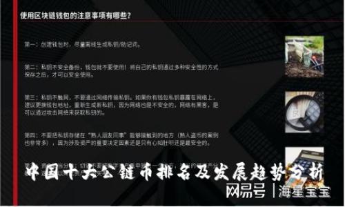 中国十大公链币排名及发展趋势分析