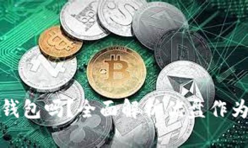 优盘可以用作冷钱包吗？全面解析优盘作为冷钱包的可行性